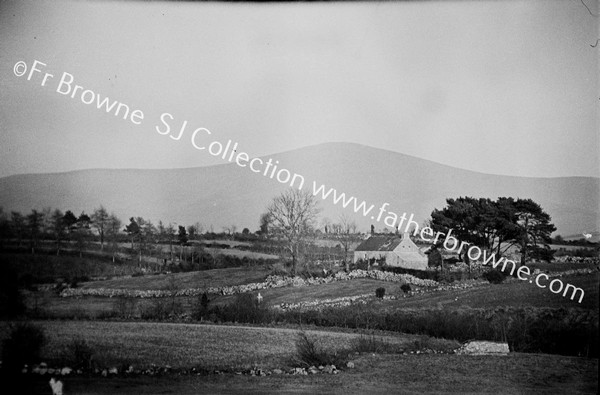 MOUNT LEINSTER